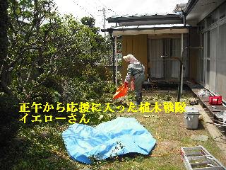ハイスピードな剪定作業_f0031037_1912684.jpg