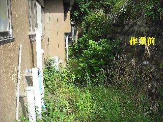 ハイスピードな剪定作業_f0031037_1914512.jpg