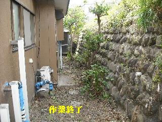 ハイスピードな剪定作業_f0031037_1915788.jpg