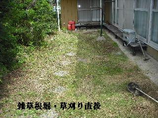 ハイスピードな剪定作業_f0031037_19163348.jpg
