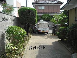 ハイスピードな剪定作業_f0031037_1919208.jpg
