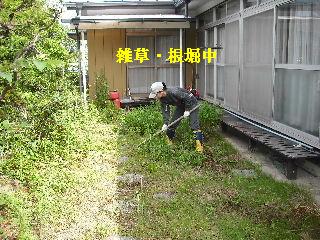 ハイスピードな剪定作業_f0031037_1982462.jpg
