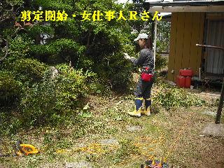 ハイスピードな剪定作業_f0031037_1983735.jpg