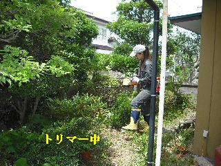 ハイスピードな剪定作業_f0031037_199246.jpg