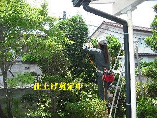 ハイスピードな剪定作業_f0031037_1995832.jpg