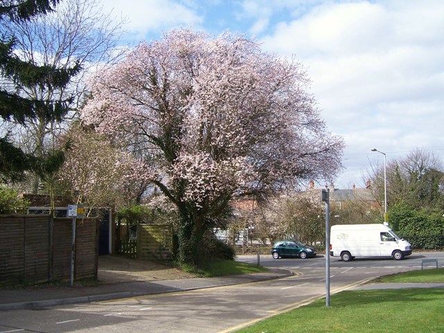 a0138438_22115130.jpg