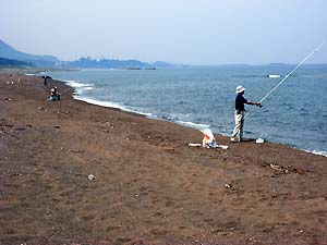 c0019338_21848.jpg