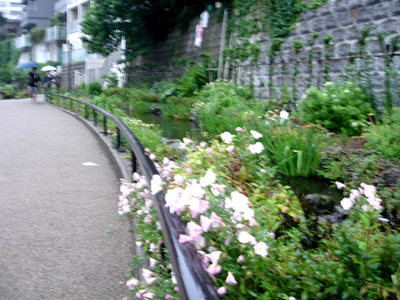 e0044855_1714735.jpg
