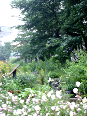 e0044855_176106.jpg