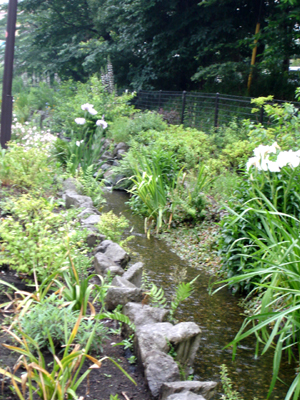 e0044855_1762333.jpg