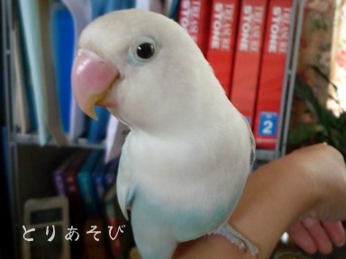 フォトジェニック_e0147757_2348544.jpg