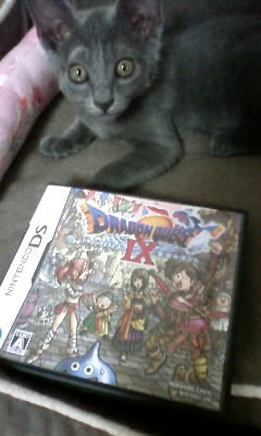猫とDQIX_c0170061_18594132.jpg