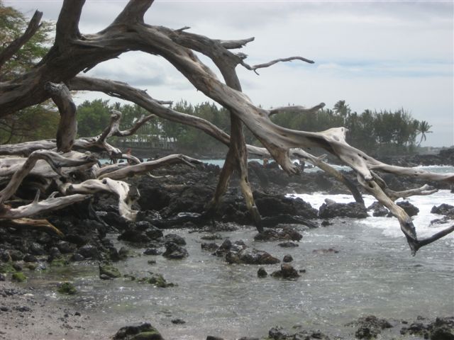 a0123465_14385887.jpg