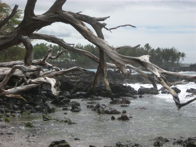 On The Beach_a0123465_14385887.jpg