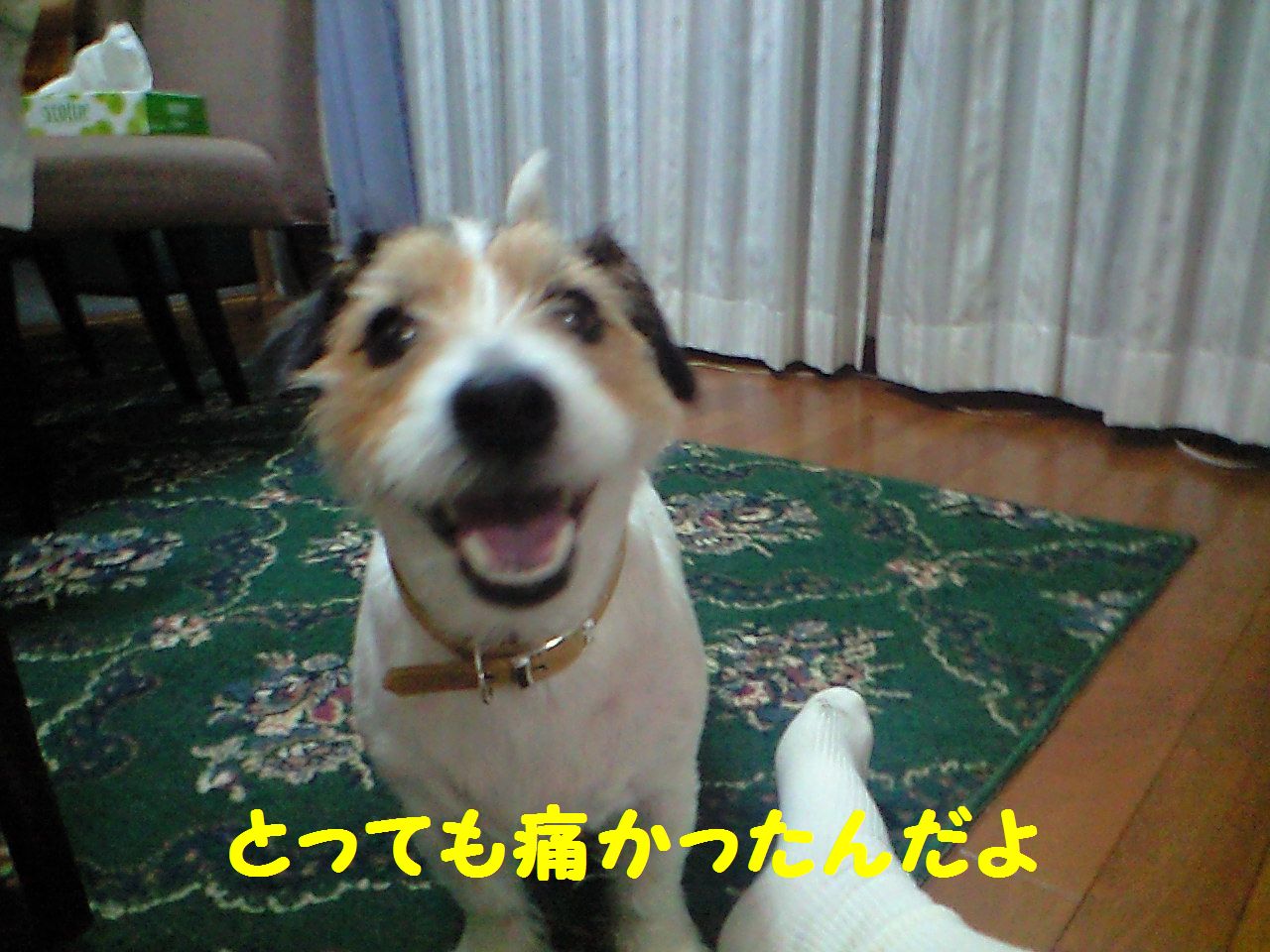 a0118079_17114526.jpg