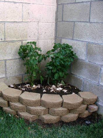 c0110280_13531321.jpg
