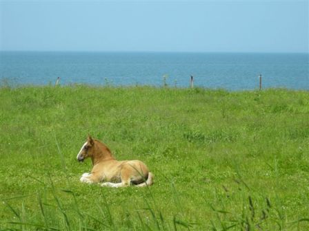 北海道へ行ってきました～_c0172180_21524352.jpg