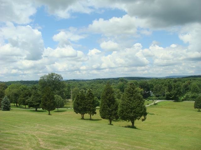 d0100880_1946513.jpg