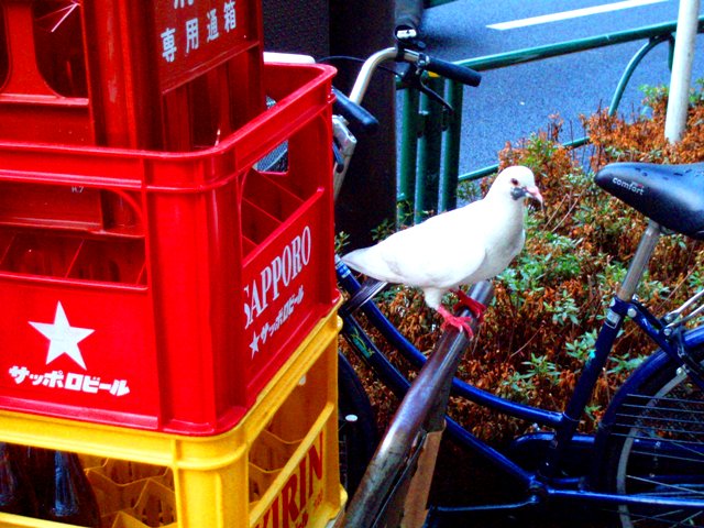 c0025481_0282096.jpg