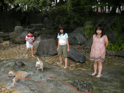e0066883_22465152.gif