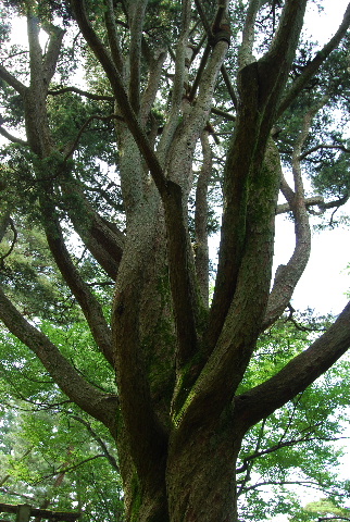 c0156789_23103922.jpg