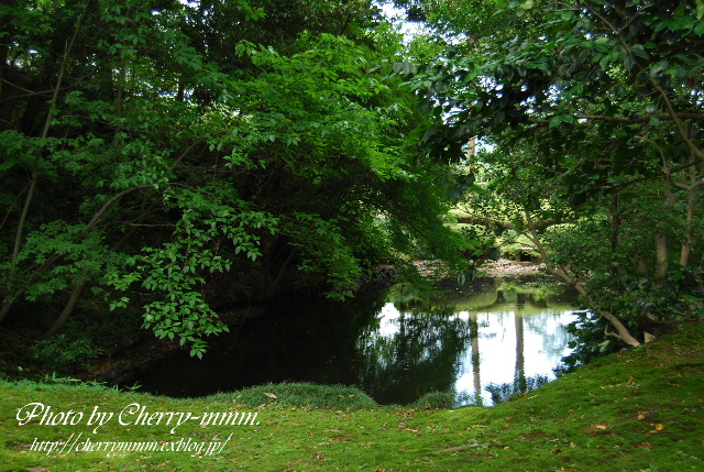 夏の兼六園♪_c0156789_2383328.jpg