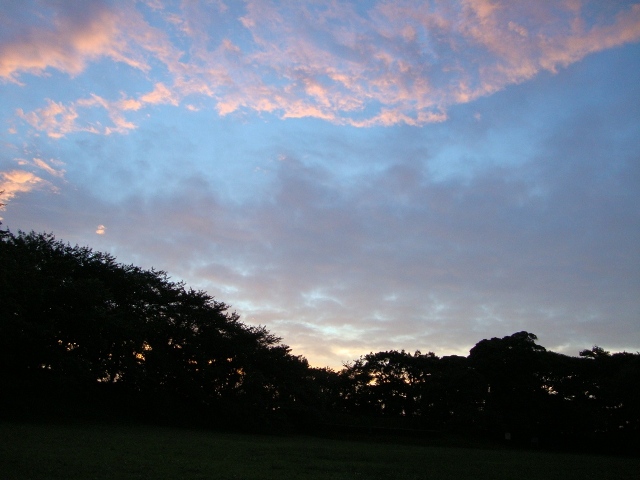 カウントダウン_a0126590_093537.jpg