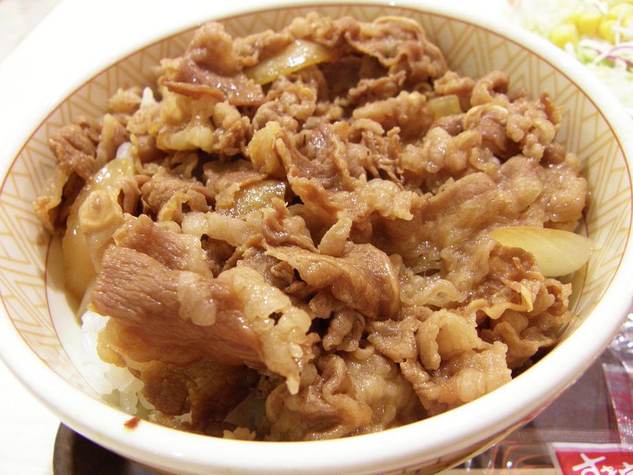 「すき家」の牛丼 ダイヤモンドシティ鶴見店_c0118393_11142722.jpg