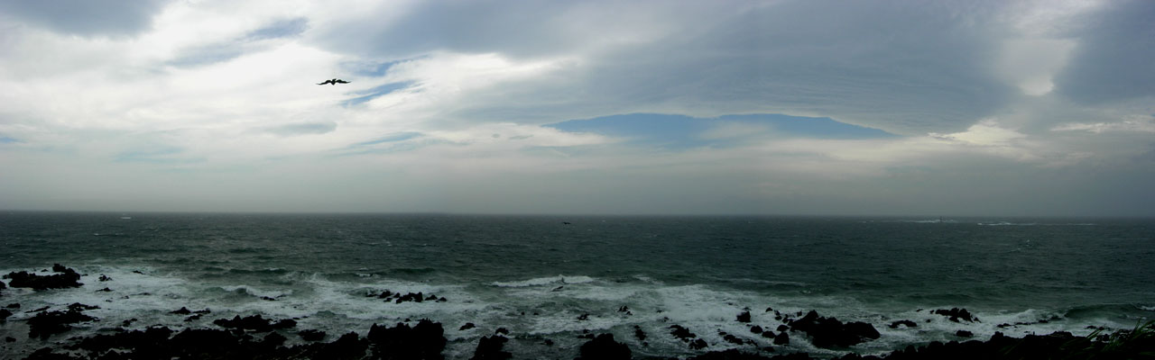 a0102794_0483814.jpg