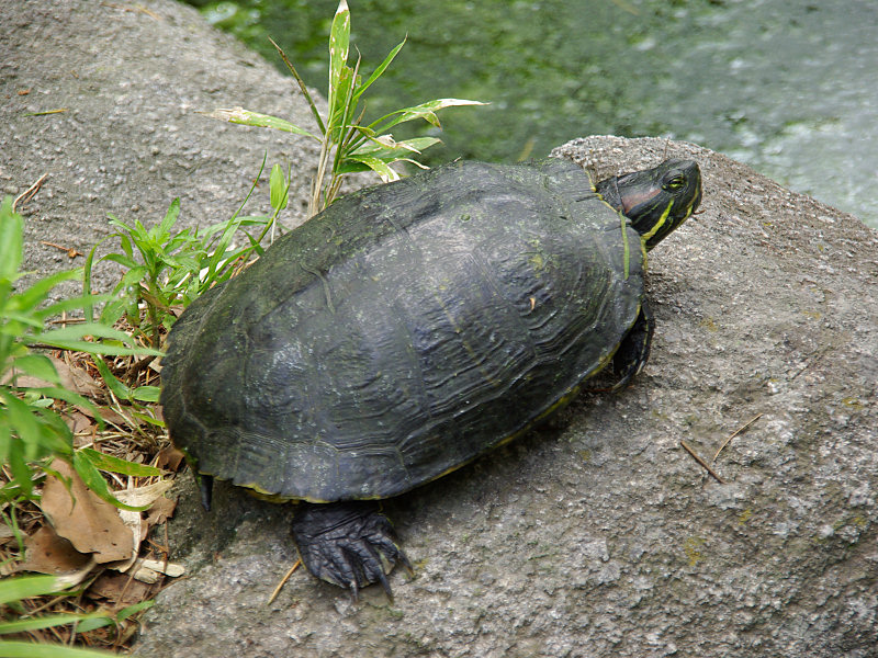 f0204094_97326.jpg