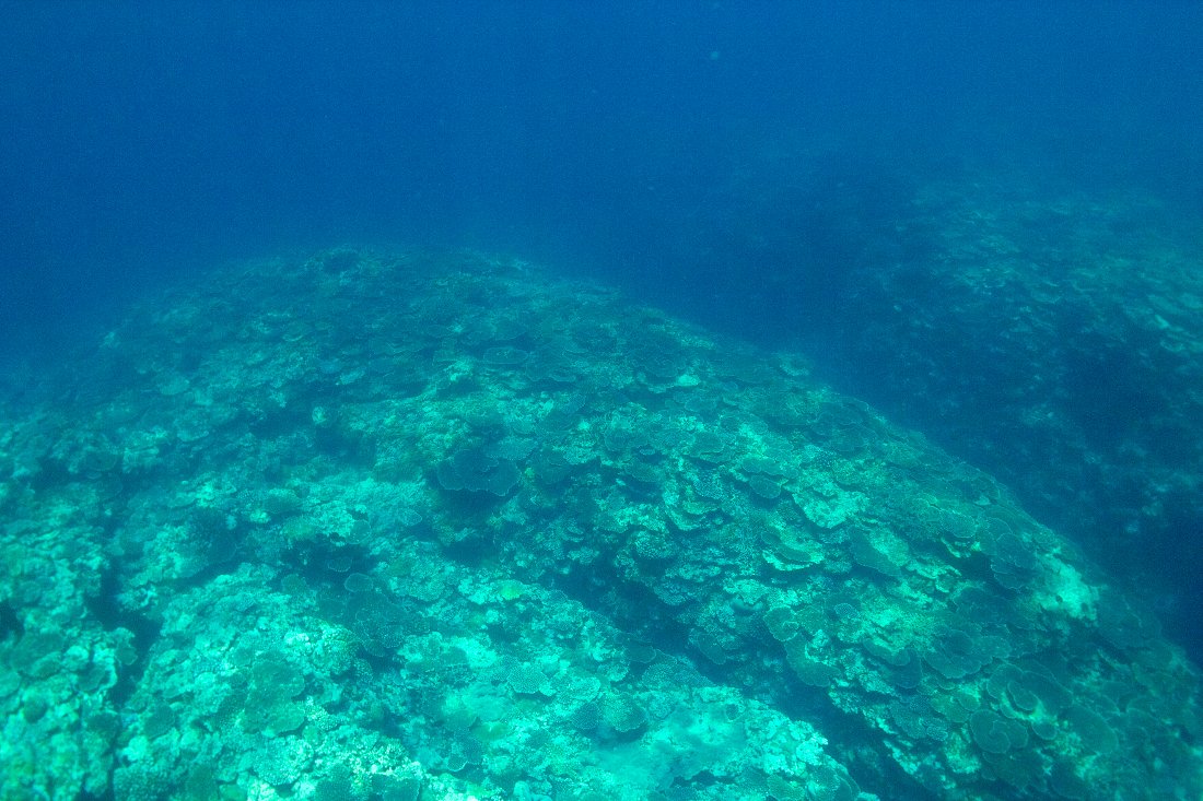 c0124795_16534320.jpg