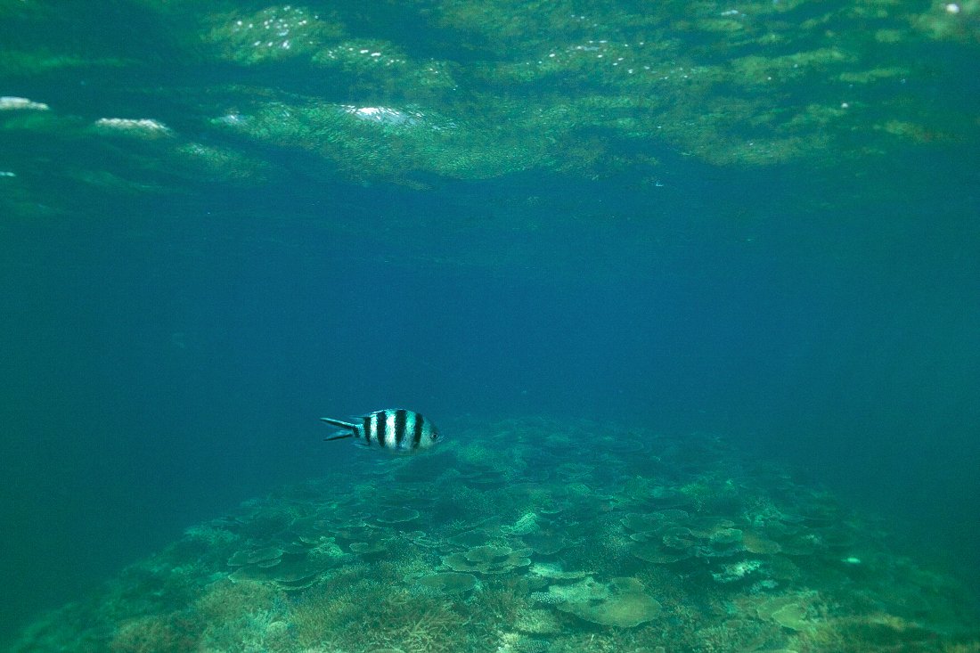 c0124795_16552867.jpg