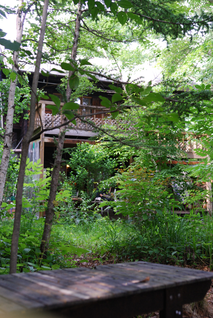 f0178900_211545.jpg