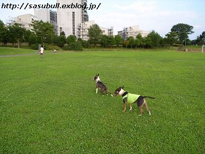 e0145805_21191370.jpg