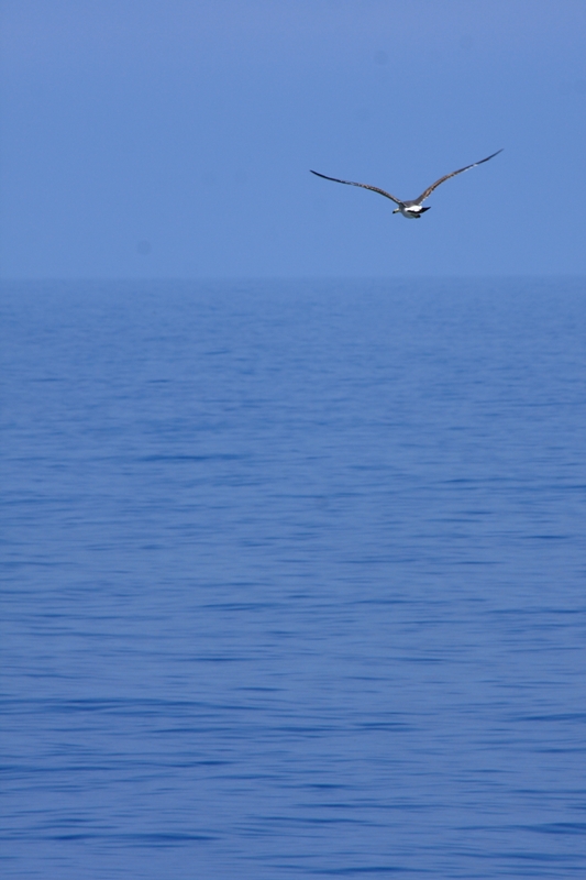 b0180907_2150643.jpg