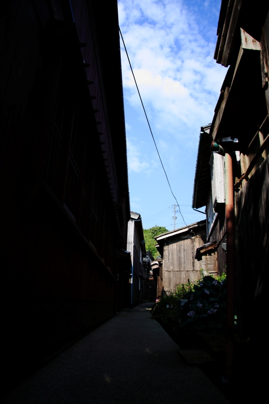 b0180907_2223694.jpg