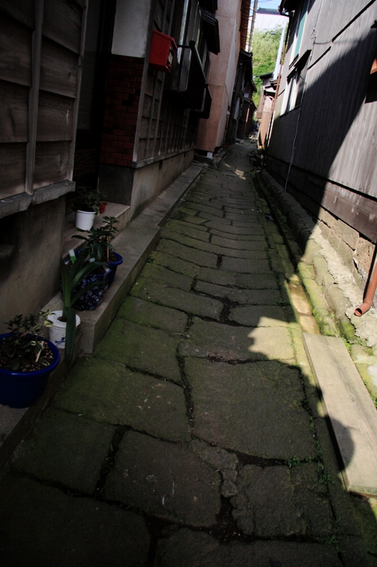 b0180907_2224145.jpg