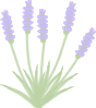 e0178307_20542983.gif
