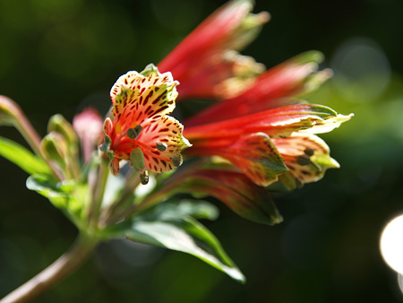 a0041508_13671.jpg
