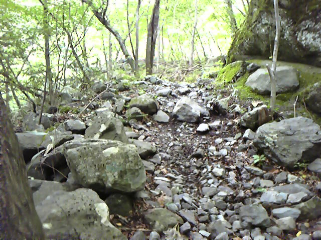 e0015108_2193819.jpg