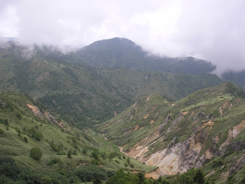 d0115409_21195739.jpg