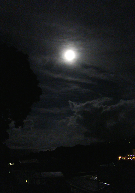 e0034012_112513.jpg