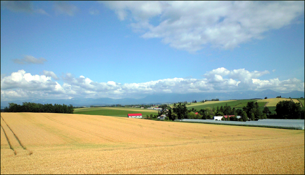 c0033513_21584121.jpg