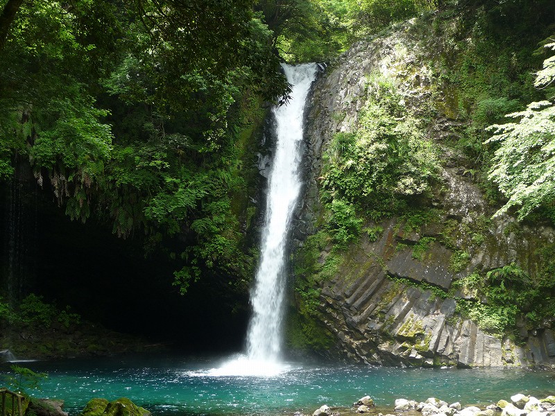 f0182513_1121193.jpg