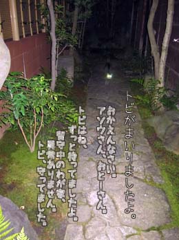 e0156015_8194189.jpg