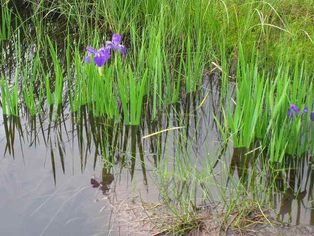 e0117318_003558.jpg