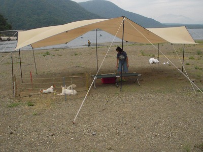 e0121418_22241490.jpg