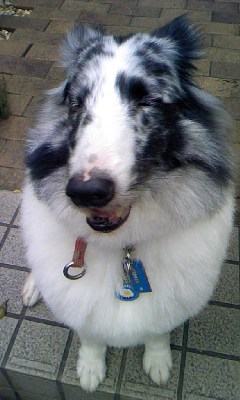 c0150520_9205466.jpg