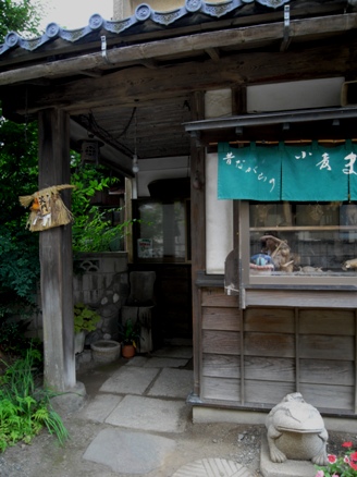 c0107924_21585495.jpg
