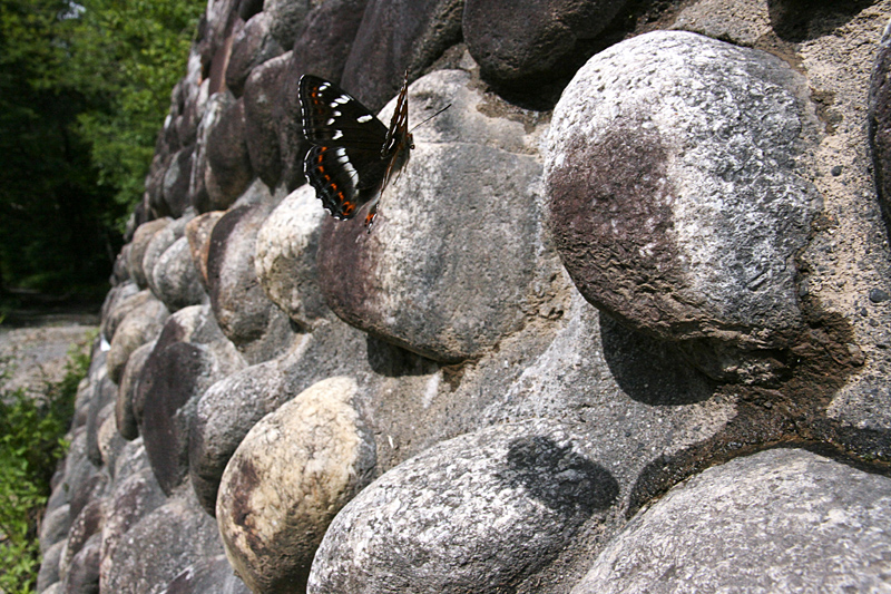 d0054625_15175540.jpg